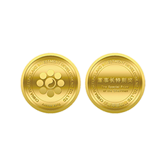 �ڲ�����Ϸ������(�й�)רҵ����,����Ϊ��