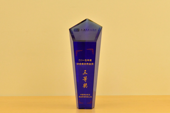 �ڲ�����Ϸ������(�й�)רҵ����,����Ϊ��