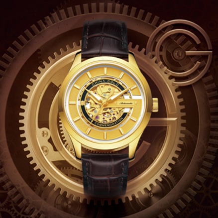 �ڲ�����Ϸ������(�й�)רҵ����,����Ϊ��