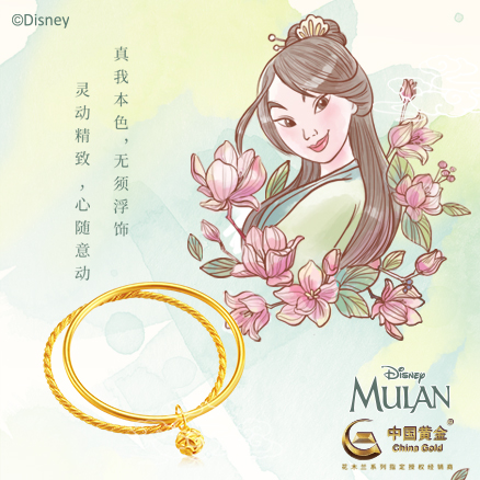 �ڲ�����Ϸ������(�й�)רҵ����,����Ϊ��