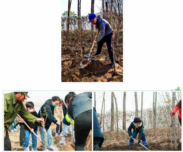 e1e0befca87145f1b682562c684ec6c8