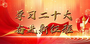 �ڲ�����Ϸ������(�й�)רҵ����,����Ϊ��