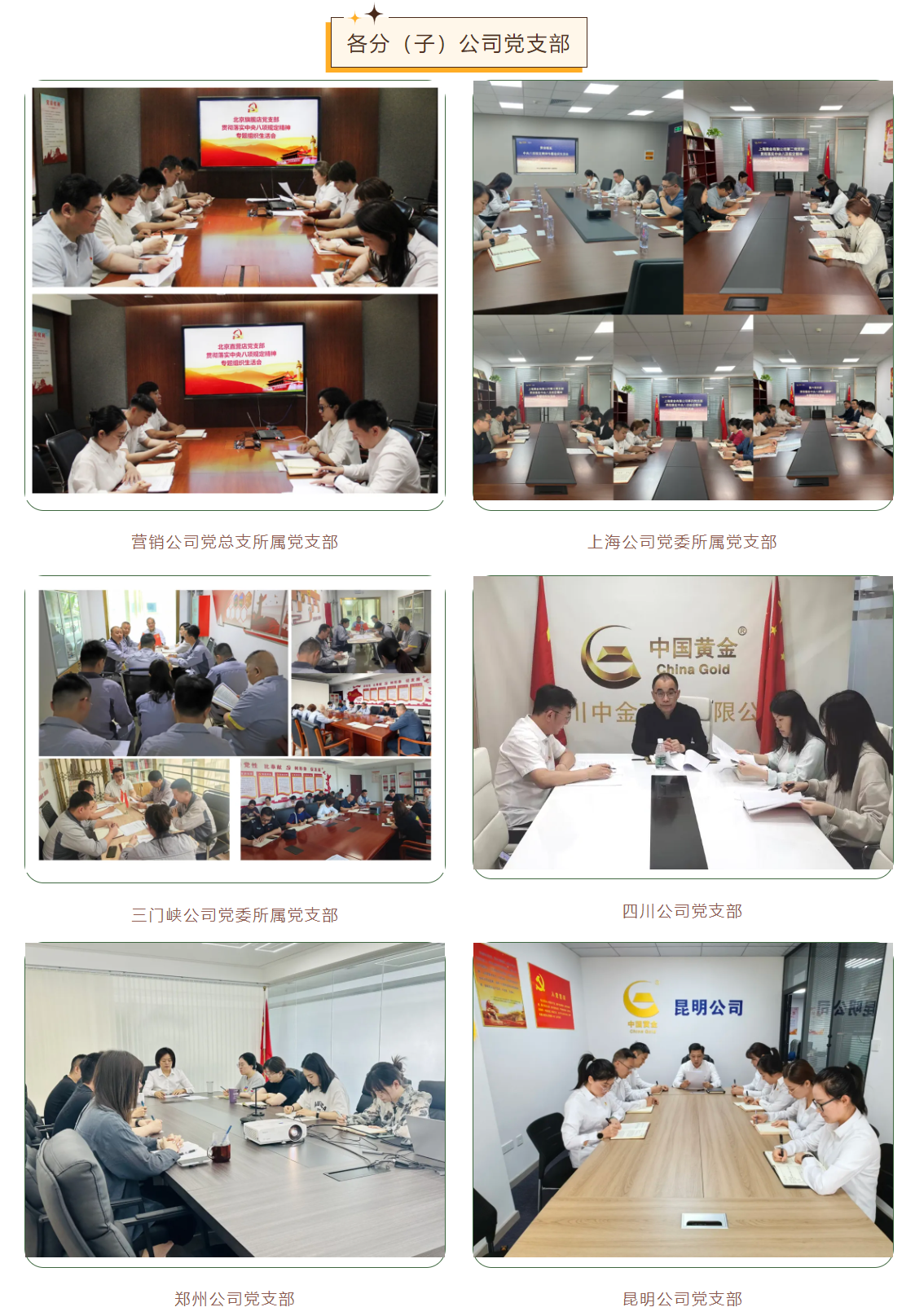 �ڲ�����Ϸ������(�й�)רҵ����,����Ϊ��