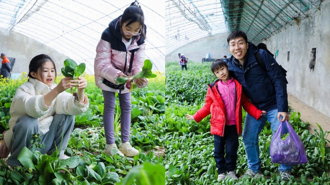 ca47cbbd54ff440589ef9b0cbd21338f ca47cbbd54ff440589ef9b0cbd21338f